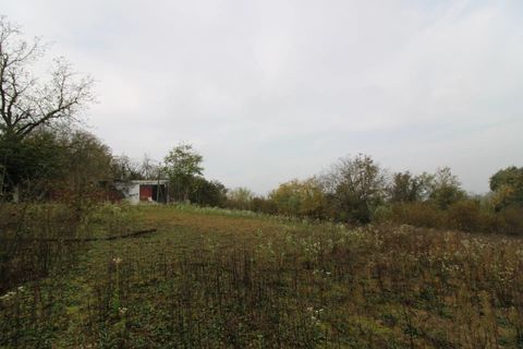 Landejendom i Tigliole, Asti, Tigliole - € 26.000 | Ref: 86387864 - foto 11