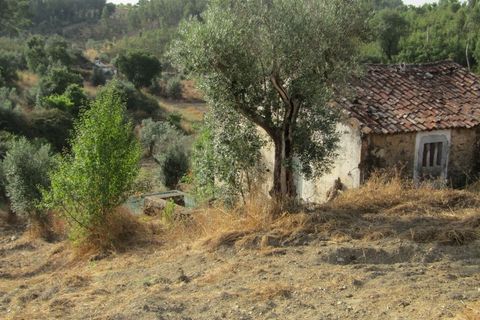Landejendom i Mouriscas, Santarem, Mouriscas - € 66.000 | Ref: P25-233 - foto 2