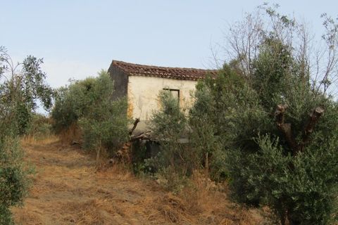 Landejendom i Mouriscas, Santarem, Mouriscas - € 66.000 | Ref: P25-233 - foto 3