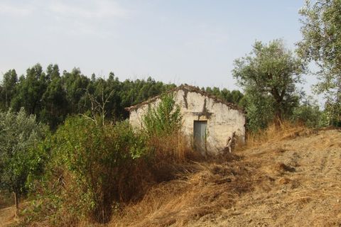Landejendom i Mouriscas, Santarem, Mouriscas - € 66.000 | Ref: P25-233 - foto 4