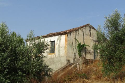 Landejendom i Mouriscas, Santarem, Mouriscas - € 66.000 | Ref: P25-233 - foto 5