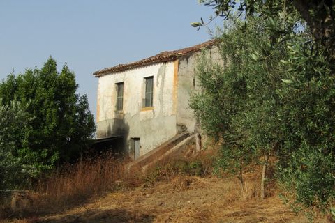 Landejendom i Mouriscas, Santarem, Mouriscas - € 66.000 | Ref: P25-233 - foto 8