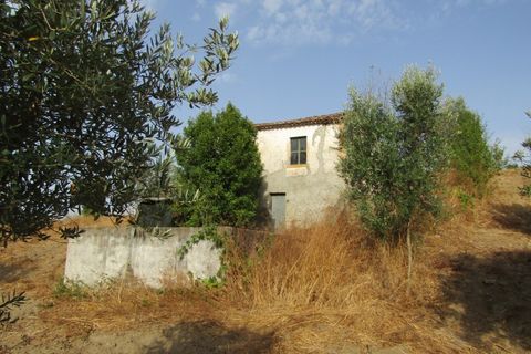 Landejendom i Mouriscas, Santarem, Mouriscas - € 66.000 | Ref: P25-233 - foto 9