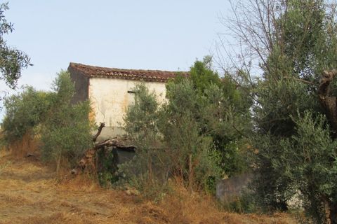 Landejendom i Mouriscas, Santarem, Mouriscas - € 66.000 | Ref: P25-233 - foto 10