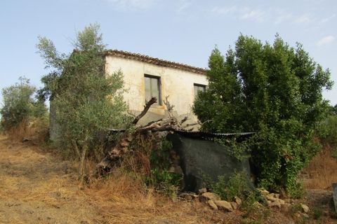 Landejendom i Mouriscas, Santarem, Mouriscas - € 66.000 | Ref: P25-233 - foto 11