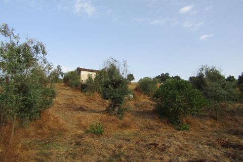 Landejendom i Mouriscas, Santarem, Mouriscas - € 66.000 | Ref: P25-233 - foto 12