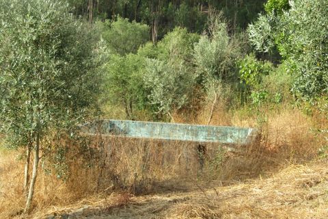 Landejendom i Mouriscas, Santarem, Mouriscas - € 66.000 | Ref: P25-233 - foto 14