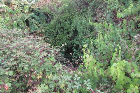 Landejendom i Mouriscas, Santarem, Mouriscas - € 66.000 | Ref: P25-233 - foto 17