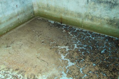 Landejendom i Mouriscas, Santarem, Mouriscas - € 66.000 | Ref: P25-233 - foto 18