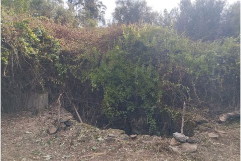 Landejendom i Mouriscas, Santarem, Mouriscas - € 66.000 | Ref: P25-233 - foto 19