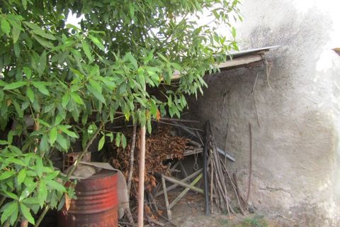 Landejendom i Mouriscas, Santarem, Mouriscas - € 66.000 | Ref: P25-233 - foto 20