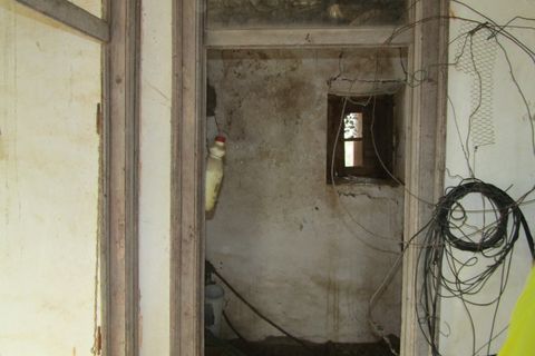 Landejendom i Mouriscas, Santarem, Mouriscas - € 66.000 | Ref: P25-233 - foto 21