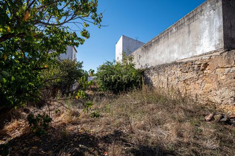Erhvervsejendom i Alenquer, Lisbon, Alenquer - € 50.000 | Ref: C0479-00049 - foto 10