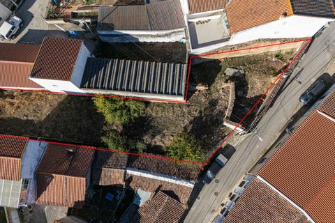 Erhvervsejendom i Alenquer, Lisbon, Alenquer - € 50.000 | Ref: C0479-00049 - foto 17