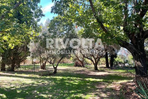 Villa i Viterbo, Viterbo, Viterbo - € 355.000 | Ref: CV Viterbo Signorino - foto 5