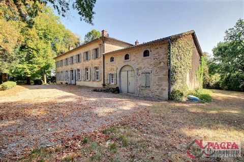 Landejendom i Puylaurens, Tarn, Puylaurens - € 795.000 | Ref: 4046 - foto 8