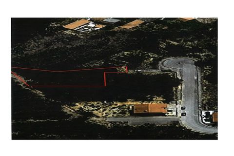 Helårsgrund i Macao, Santarem, Macao - € 25.000 | Ref: SÒL_361 - foto 2