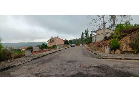 Helårsgrund i Macao, Santarem, Macao - € 25.000 | Ref: SÒL_361 - foto 5