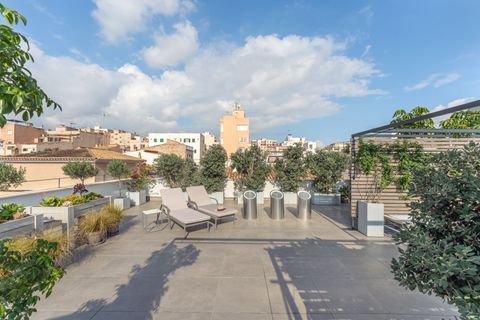 Villa a Palma De Mallorca, Mallorca, Palma De Mallorca - € 2.290.000 | Ref: PS04063 - foto 38