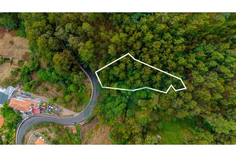 Helårsgrund i Camacha, Madeira, Camacha - € 29.000 | Ref: RHG25043 - foto 1