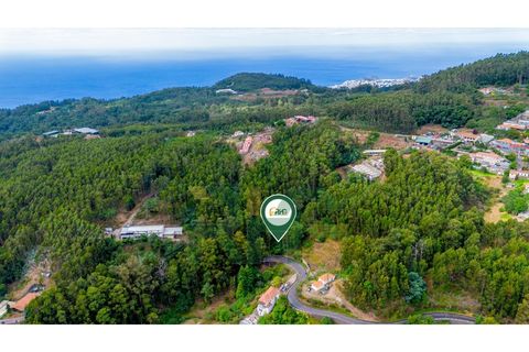 Helårsgrund i Camacha, Madeira, Camacha - € 29.000 | Ref: RHG25043 - foto 2