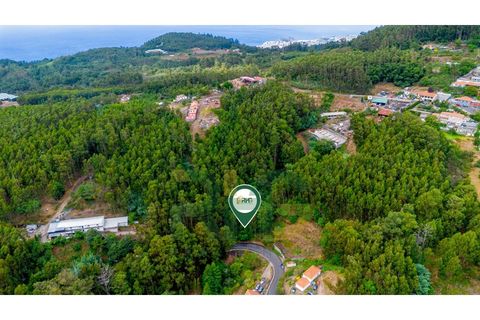 Helårsgrund i Camacha, Madeira, Camacha - € 29.000 | Ref: RHG25043 - foto 3