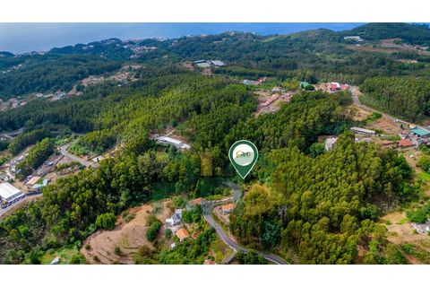 Helårsgrund i Camacha, Madeira, Camacha - € 29.000 | Ref: RHG25043 - foto 4