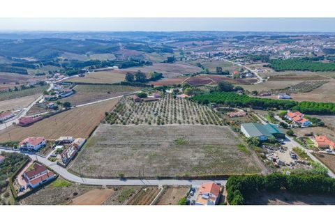 Villa i Lourinha, Lisbon, Lourinha - € 790.000 | Ref: PROP-33627 - foto 5