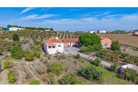 Villa i Lourinha, Lisbon, Lourinha - € 790.000 | Ref: PROP-33627 - foto 6