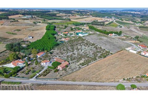 Villa i Lourinha, Lisbon, Lourinha - € 790.000 | Ref: PROP-33627 - foto 7