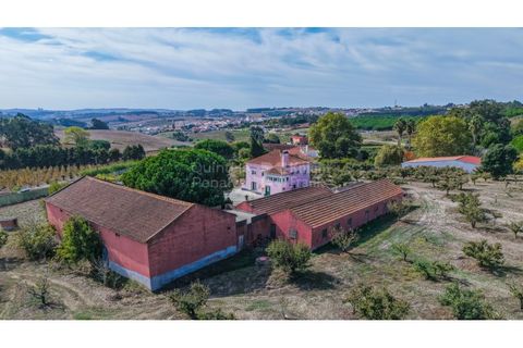 Villa i Lourinha, Lisbon, Lourinha - € 790.000 | Ref: PROP-33627 - foto 31