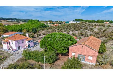 Villa i Lourinha, Lisbon, Lourinha - € 790.000 | Ref: PROP-33627 - foto 32