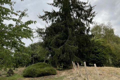 Villa i Mortroux, Creuse, Mortroux - € 66.000 | Ref: CS1240-ATTEGIA - foto 34