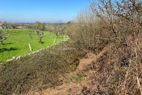 Helårsgrund i Seia, Guarda, Seia - € 20.000 | Ref: 25011 - foto 2