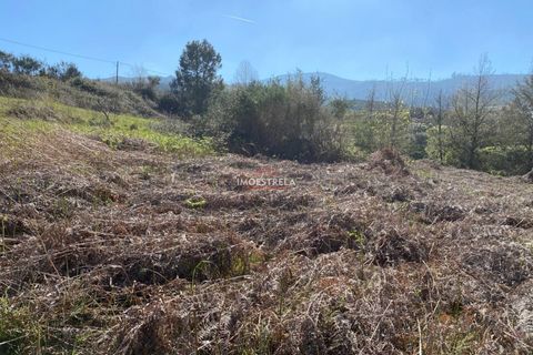 Helårsgrund i Seia, Guarda, Seia - € 20.000 | Ref: 25011 - foto 3