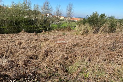 Helårsgrund i Seia, Guarda, Seia - € 20.000 | Ref: 25011 - foto 4