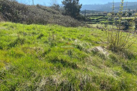 Helårsgrund i Seia, Guarda, Seia - € 20.000 | Ref: 25011 - foto 7
