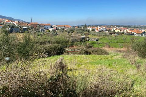 Helårsgrund i Seia, Guarda, Seia - € 20.000 | Ref: 25011 - foto 11