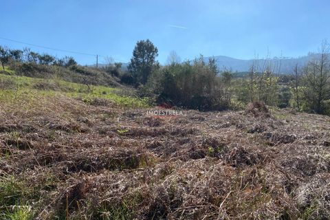 Helårsgrund i Seia, Guarda, Seia - € 20.000 | Ref: 25011 - foto 12