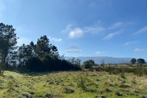 Helårsgrund i Seia, Guarda, Seia - € 25.000 | Ref: 25010 - foto 2