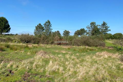 Helårsgrund i Seia, Guarda, Seia - € 25.000 | Ref: 25010 - foto 3
