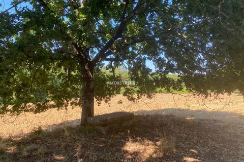 Villa i Seia, Guarda, Seia - € 195.000 | Ref: 25019 - foto 4