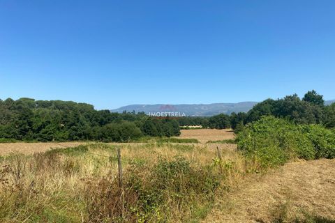 Villa i Seia, Guarda, Seia - € 195.000 | Ref: 25019 - foto 14