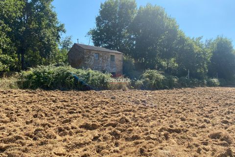 Villa i Seia, Guarda, Seia - € 195.000 | Ref: 25019 - foto 15