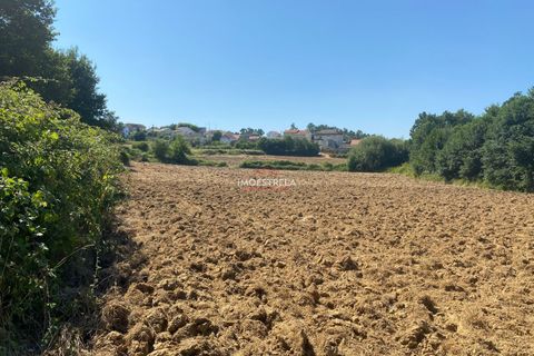 Villa i Seia, Guarda, Seia - € 195.000 | Ref: 25019 - foto 16