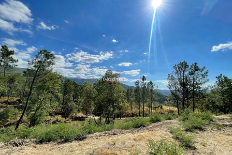 Helårsgrund i Seia, Guarda, Seia - € 150.000 | Ref: 25030 - foto 3