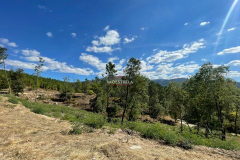 Helårsgrund i Seia, Guarda, Seia - € 150.000 | Ref: 25030 - foto 4