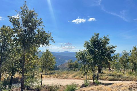 Helårsgrund i Seia, Guarda, Seia - € 150.000 | Ref: 25030 - foto 6