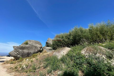 Helårsgrund i Seia, Guarda, Seia - € 150.000 | Ref: 25030 - foto 8