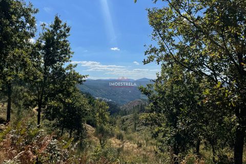 Helårsgrund i Seia, Guarda, Seia - € 150.000 | Ref: 25030 - foto 10